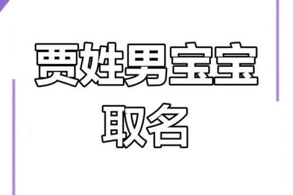 贾姓男孩名字大全-贾姓男孩起名字大全-贾姓名字大全姓名