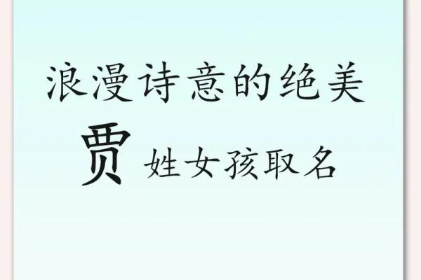 贾姓男孩名字大全-贾姓男孩起名字大全-贾姓名字大全姓名