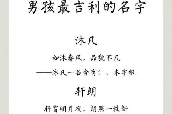 晚上出生的属虎男孩应该如何起名，宜用什么字姓名