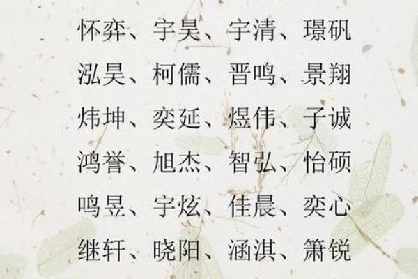 属鸡申时出生的男孩该如何起名，宜用什么字姓名