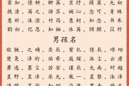 傍晚6点出生的属蛇男孩要如何起名才能使气运增加姓名