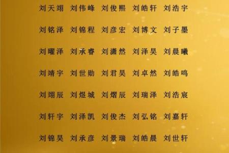 中午1点出生的属羊男孩如何起名，用什么字姓名