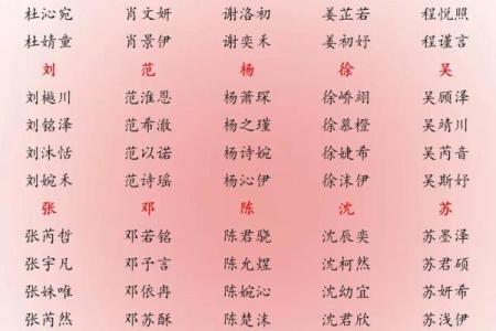 属鸡申时出生的男孩该如何起名，宜用什么字姓名