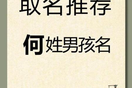 何姓男孩名字大全-何姓男孩起名字大全-何姓名字大全姓名