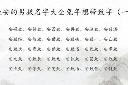 2019年6月11号寅时出生的男孩起名方法姓名