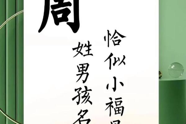 2019年出生的姓周女孩如何起名，宜用什么字姓名