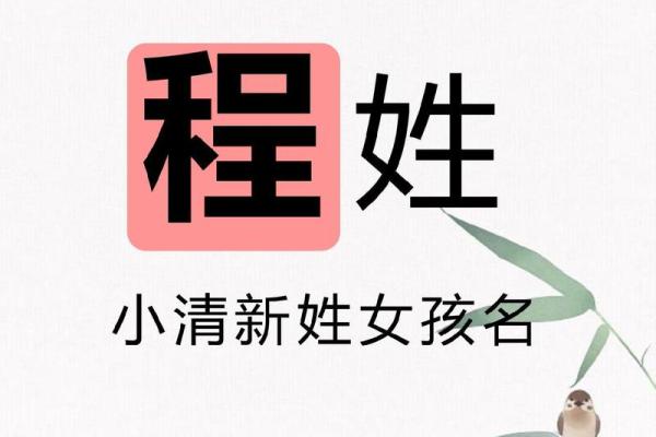 程姓女孩名字大全-程姓女孩起名字大全-程姓名字大全姓名