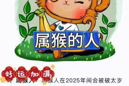 晚上出生的属猴男孩起什么，应用什么字姓名