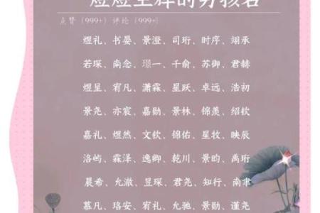 晚上九点出生的属羊男孩起什么名，用什么字姓名