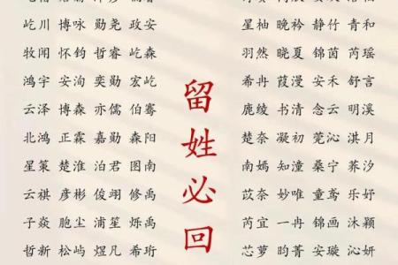 2019年4月6号寅时出生的男孩起名方法姓名