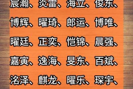 1月份出生的属兔男孩该怎样取名字姓名