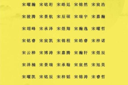 2019年3月31号酉时出生的男孩要怎么起名字姓名