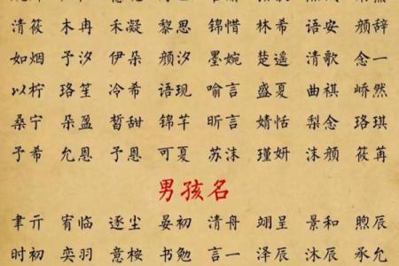 2019年3月25号子时出生的男孩如何起名姓名