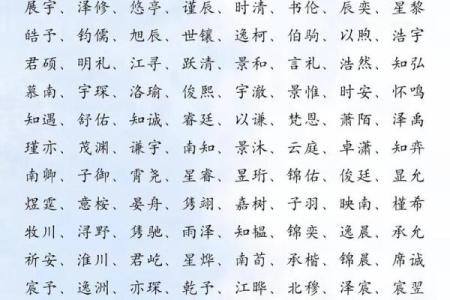 危姓男孩名字大全-危姓男孩起名字大全-危姓名字大全姓名