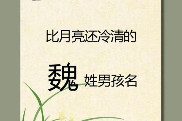 魏姓女孩名字大全-魏姓女孩起名字大全-魏姓名字大全姓名