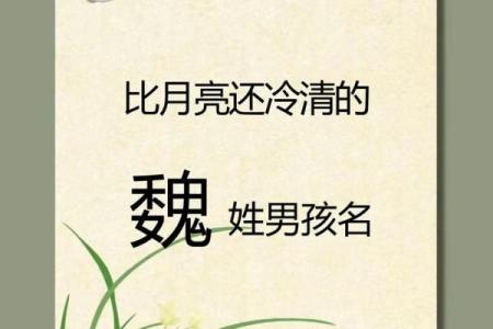 魏姓女孩名字大全-魏姓女孩起名字大全-魏姓名字大全姓名