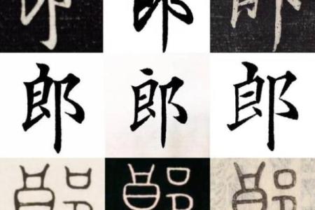 郎姓女孩名字大全-郎姓女孩起名字大全-郎姓名字大全姓名