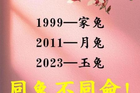 2月份出生的属兔男孩该怎么取名字姓名