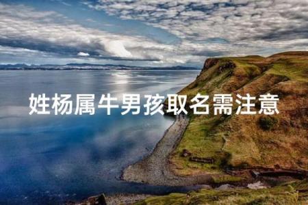 晚上12点出生的属牛男孩适合用什么字取名姓名