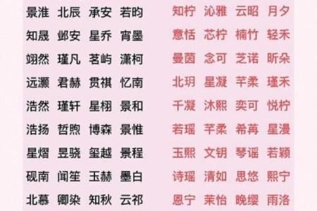 2019年3月20号未时出生的男孩起名方法姓名