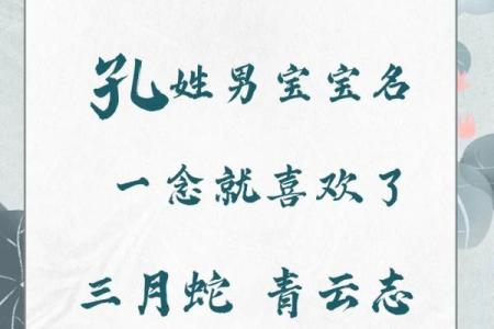 孔姓男孩名字大全-孔姓男孩起名字大全-孔姓名字大全姓名