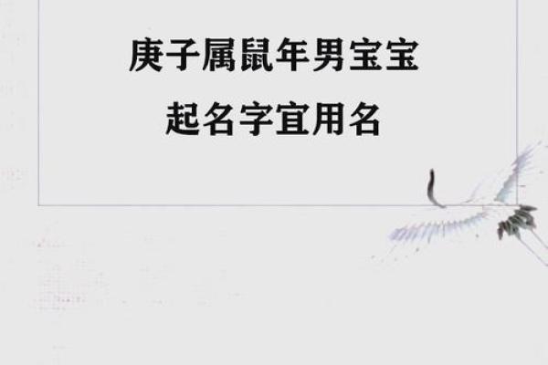 要怎么给晚上12点出生的属鼠男孩起名合适姓名