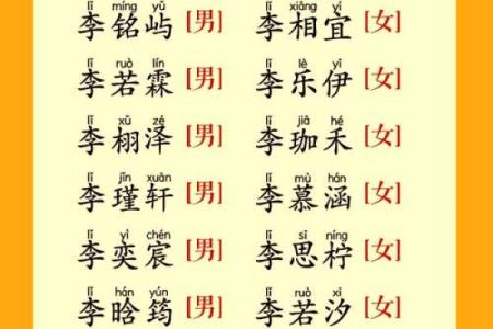 李姓女孩名字大全-李姓女孩起名字大全-李姓名字大全姓名