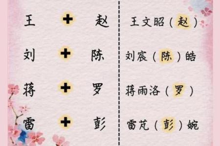 要怎么给晚上12点出生的属鼠男孩起名合适姓名