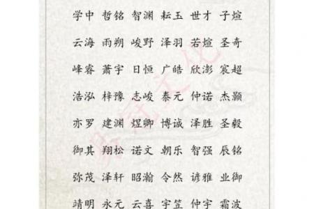 2019年4月16号丑时出生的男孩起名方法姓名