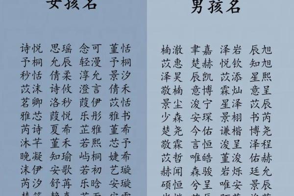 2019年3月22号亥时出生的男孩应该起什么样的名字姓名