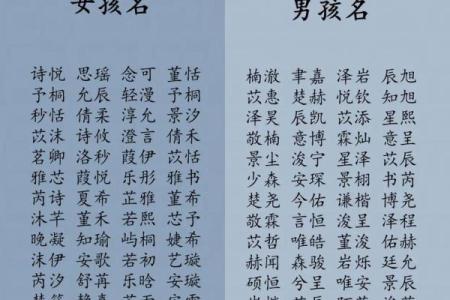 2019年3月22号亥时出生的男孩应该起什么样的名字姓名