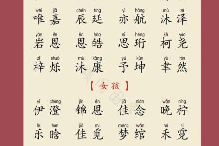 11月份出生的属龙男孩该怎样取名字姓名