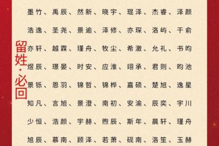 2019年3月20号亥时出生的男孩起名方法姓名