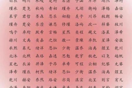 用什么字给晚上11点出生的属猴男孩取名字合适姓名