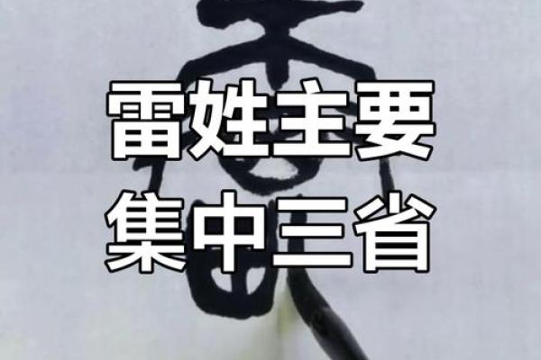 雷姓男孩名字大全-雷姓男孩起名字大全-雷姓名字大全姓名