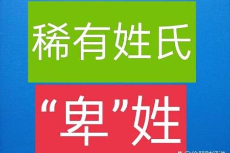 支姓女孩名字大全-支姓女孩起名字大全-支姓名字大全姓名