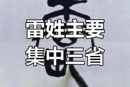 雷姓男孩名字大全-雷姓男孩起名字大全-雷姓名字大全姓名