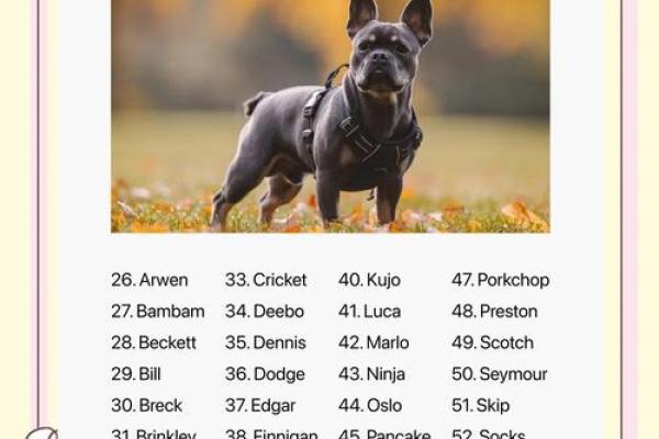 傍晚出生的属狗男孩怎么取名,适合什么字姓名 傍晚出生的属狗男孩怎么取名,适合什么字姓名