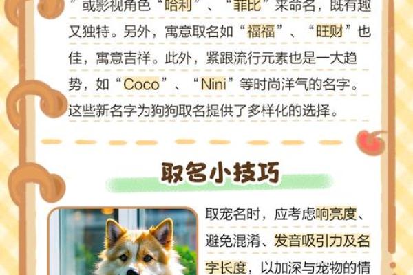 晚上十点出生的属狗男孩怎么取名,用什么字姓名 晚上十点出生的属狗男孩怎么取名,用什么字姓名