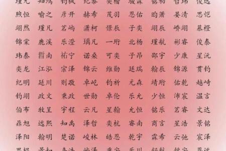 2019年3月13号子时出生的男孩如何起名姓名