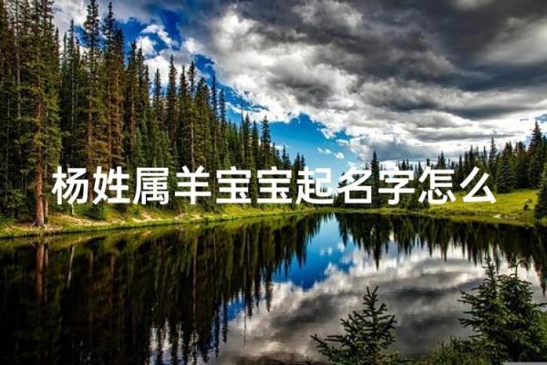 上午11点出生的属羊男孩如何起名,宜用什么字姓名 上午11点出生的属羊男孩如何起名,宜用什么字姓名