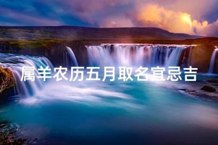 晚上十二点出生的属羊男孩如何起名，宜用什么字姓名