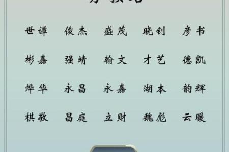 晚上11点出生的属鸡男孩宜用什么字取名字合适姓名