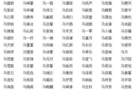 谈谈如何给属鼠末时的男孩取名姓名