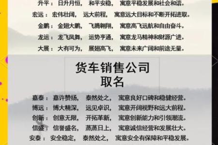 体育公司起名大全-名字大全-姓名学-华易算命网姓名