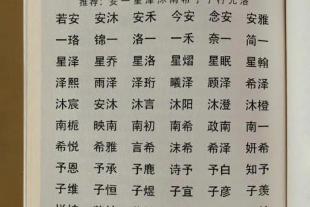 2019年3月28号巳时出生的男孩如何起名姓名