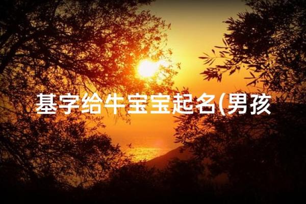 晚上11点出生的属牛男孩要怎么样起名姓名 晚上11点出生的属牛男孩要怎么样起名姓名
