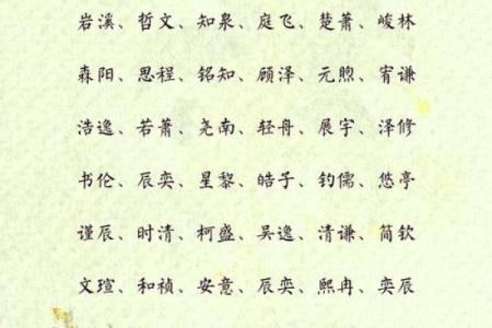 2019年6月21号子时出生的男孩应该起什么样的名字姓名