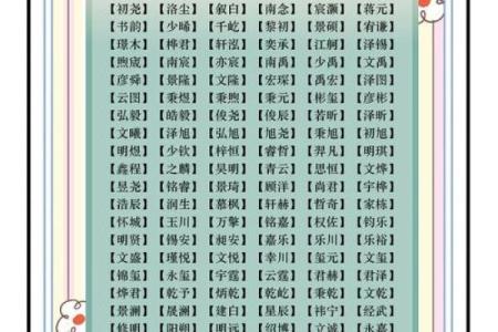 属鸡亥时出生的男孩该如何起名，宜用什么字姓名