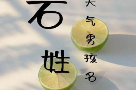 石姓男孩名字大全-石姓男孩起名字大全-石姓名字大全姓名